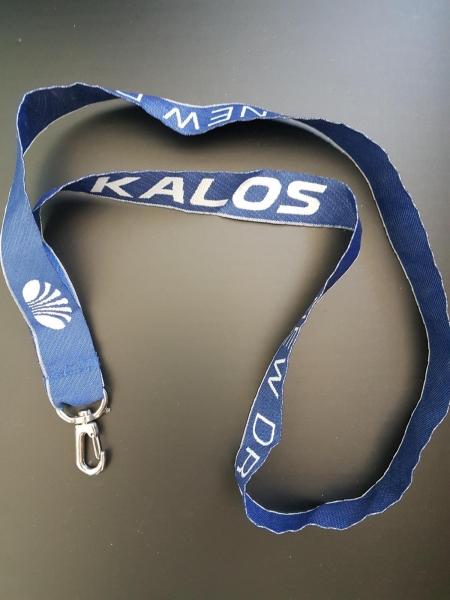 Schlüsselanhänger Band Daewoo Kalos